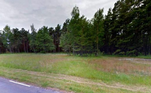 16_meiles_slenis_nuotr. Agilos.jpg